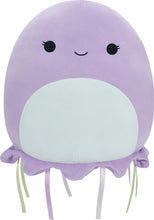 Lade das Bild in den Galerie-Viewer, Squishmallows gross
