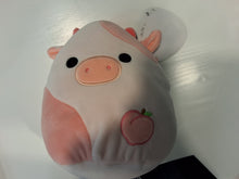 Lade das Bild in den Galerie-Viewer, Squishmallows Klein
