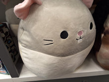 Lade das Bild in den Galerie-Viewer, Squishmallows gross
