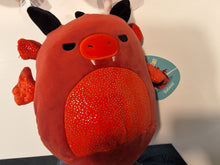 Lade das Bild in den Galerie-Viewer, Squishmallows Klein
