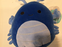 Lade das Bild in den Galerie-Viewer, Squishmallows Klein
