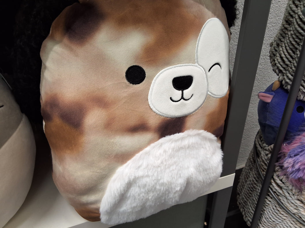 Squishmallows gross