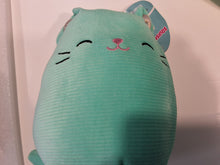 Lade das Bild in den Galerie-Viewer, Squishmallows Klein
