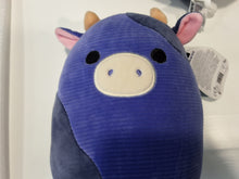 Lade das Bild in den Galerie-Viewer, Squishmallows Klein
