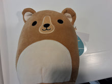 Lade das Bild in den Galerie-Viewer, Squishmallows Klein

